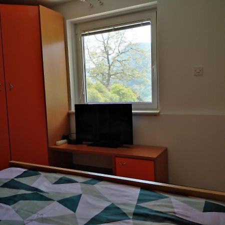 Apartment Zadraga Tolmin Dış mekan fotoğraf