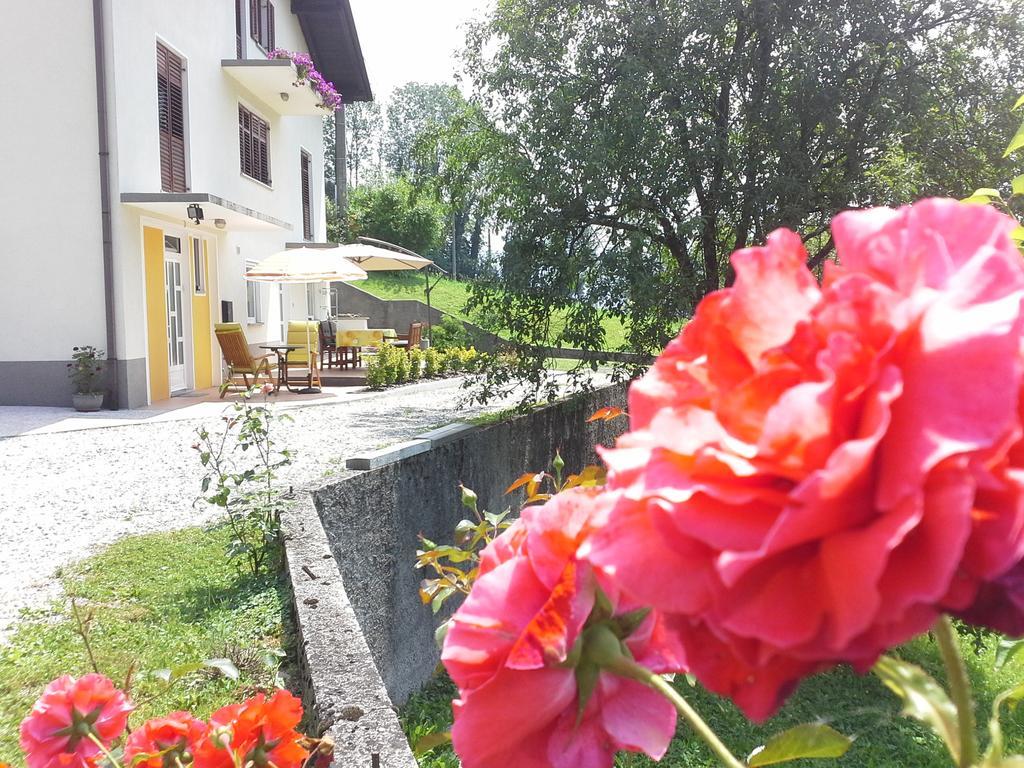 Apartment Zadraga Tolmin Dış mekan fotoğraf